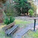 Peaceful Nature In Hambachtal Nature Park