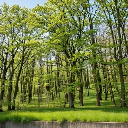 Appartement Peaceful Nature In Hambachtal Nature Park Oberhambach
