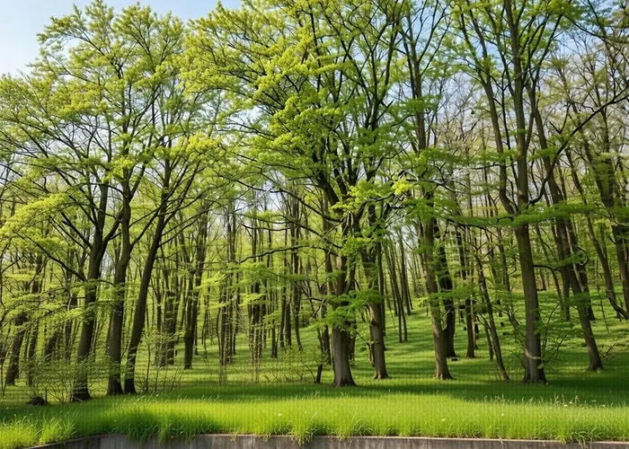 Apartment Peaceful Nature In Hambachtal Nature Park Oberhambach